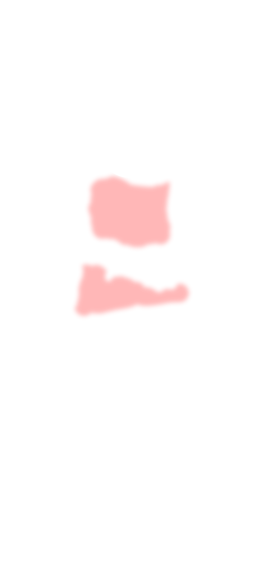 Cuirass & Brigandine